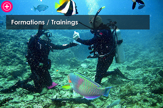 Formations / Trainings