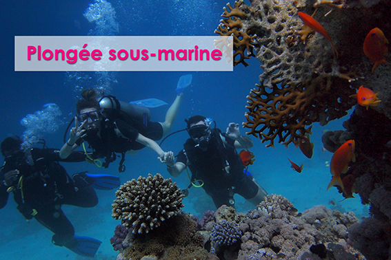 Plongée sous marine